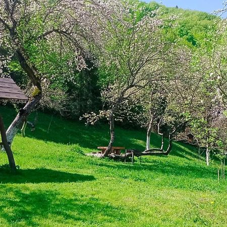 Під Горою Villa Sheshory Luaran gambar