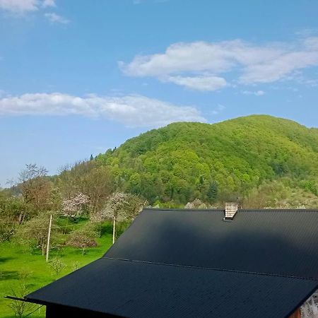 Під Горою Villa Sheshory Luaran gambar