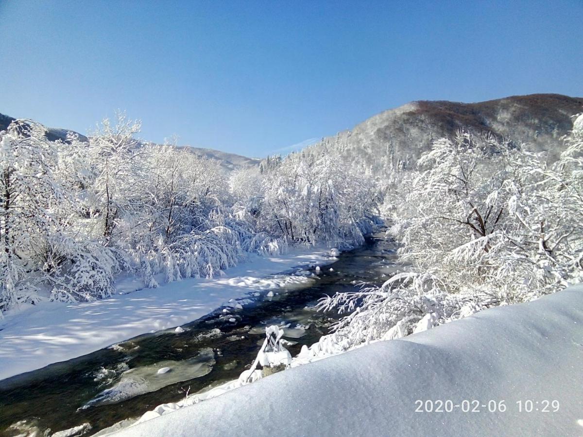 Під Горою Villa Sheshory Luaran gambar