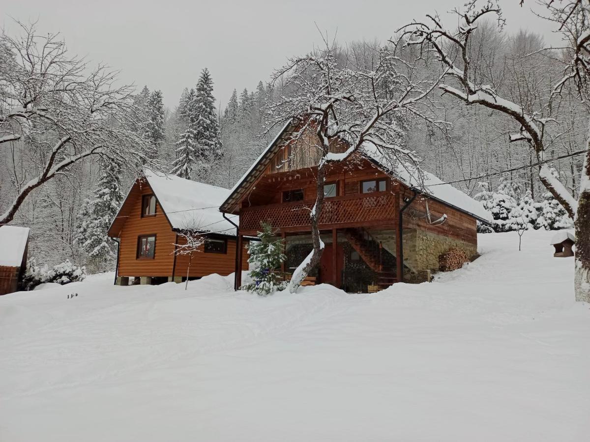 Під Горою Villa Sheshory Luaran gambar
