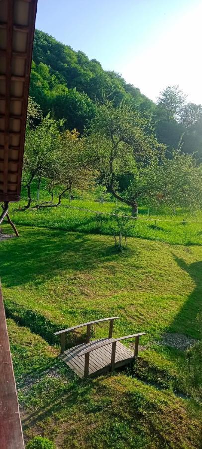 Під Горою Villa Sheshory Luaran gambar
