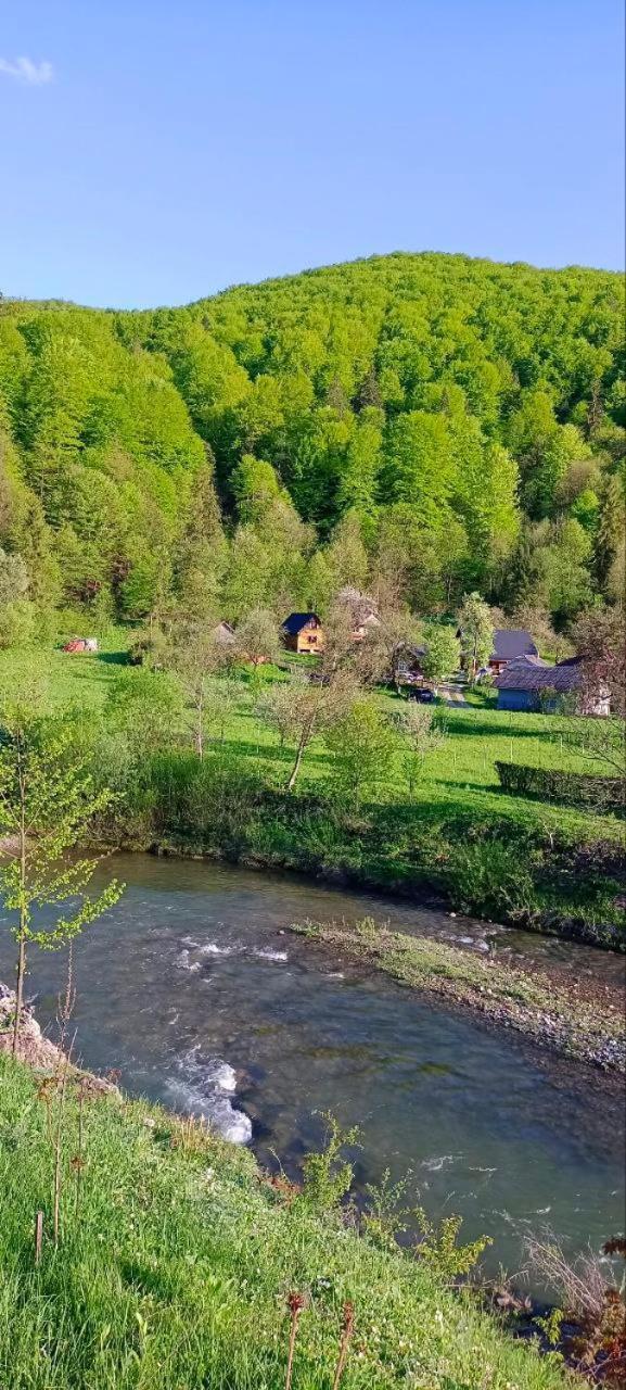 Під Горою Villa Sheshory Luaran gambar