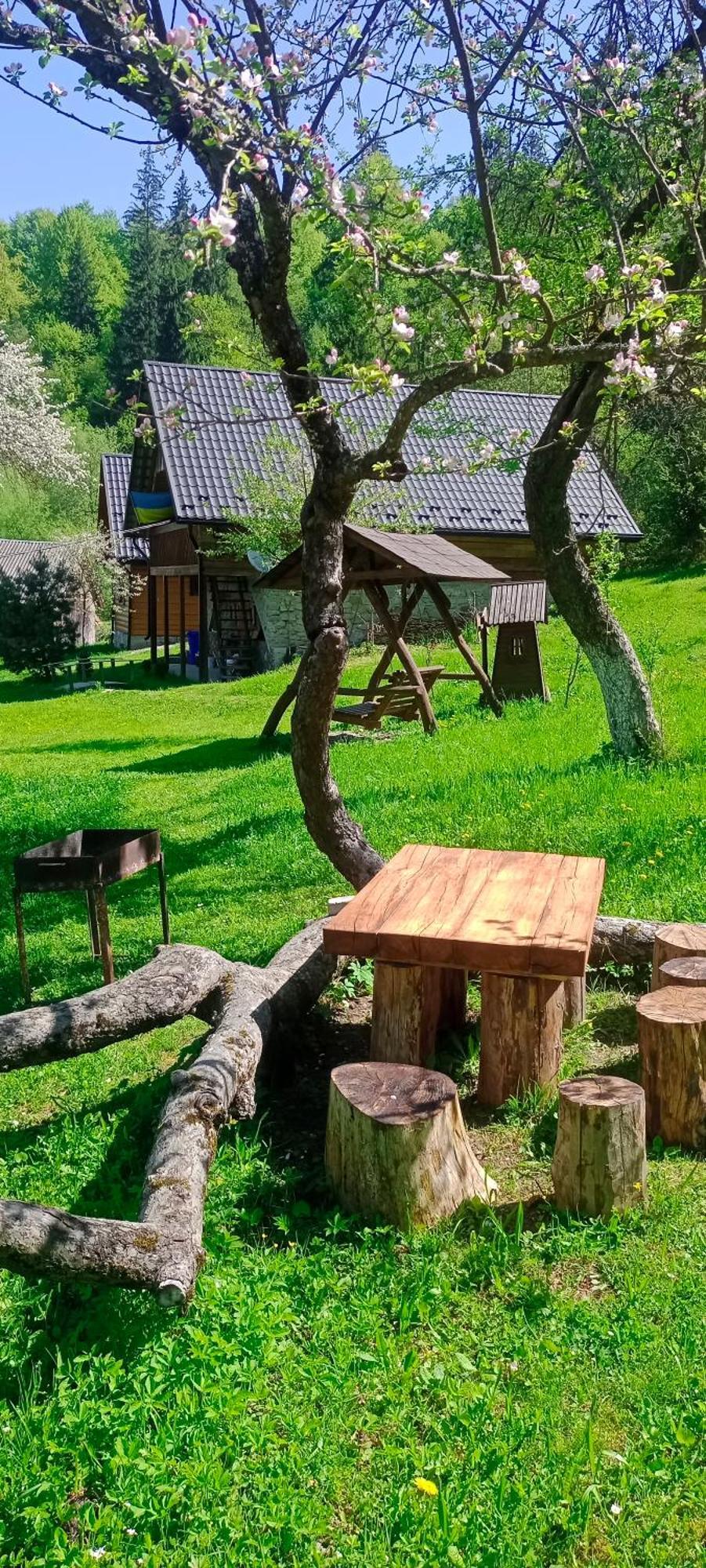 Під Горою Villa Sheshory Luaran gambar