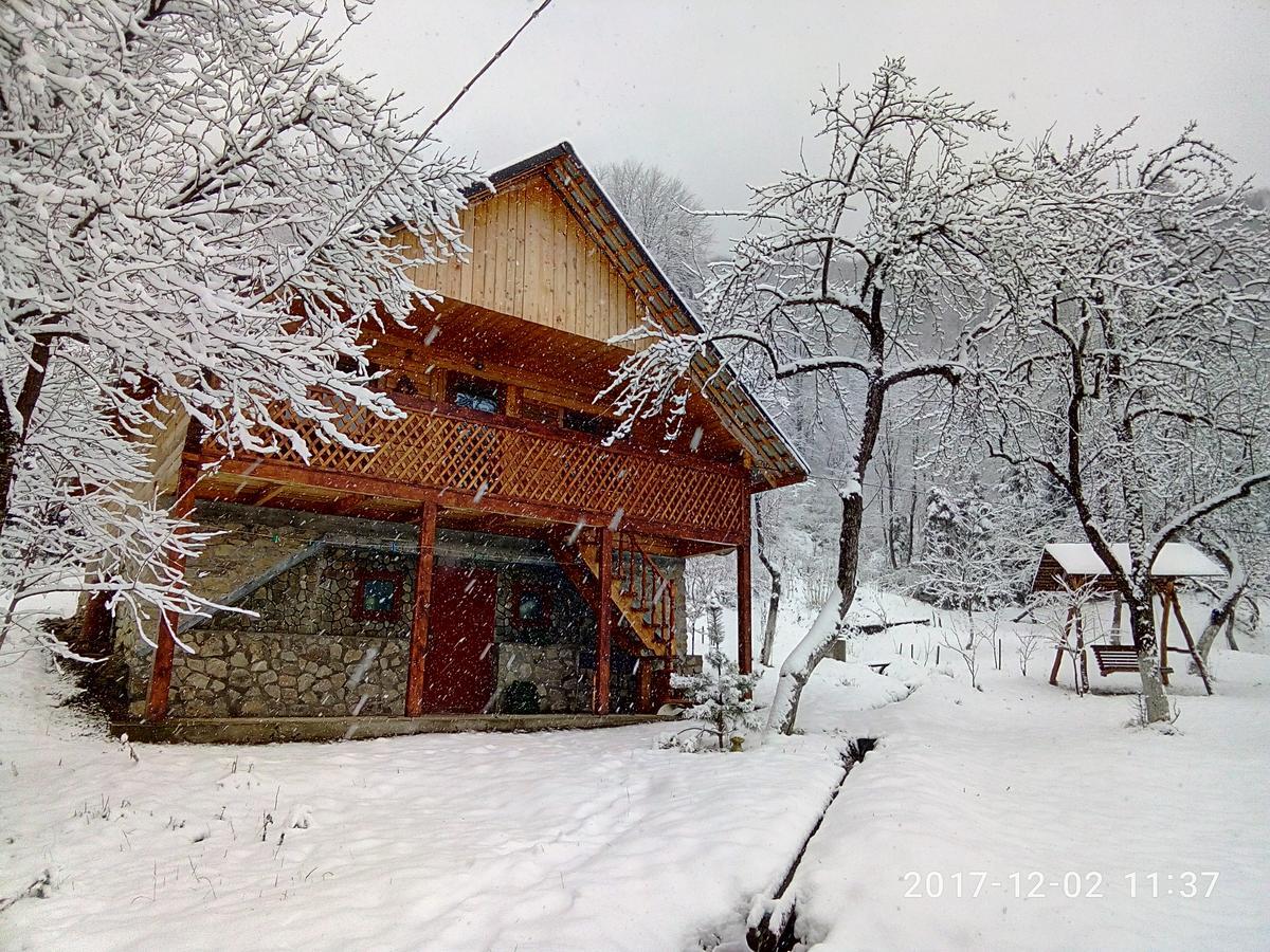 Під Горою Villa Sheshory Luaran gambar