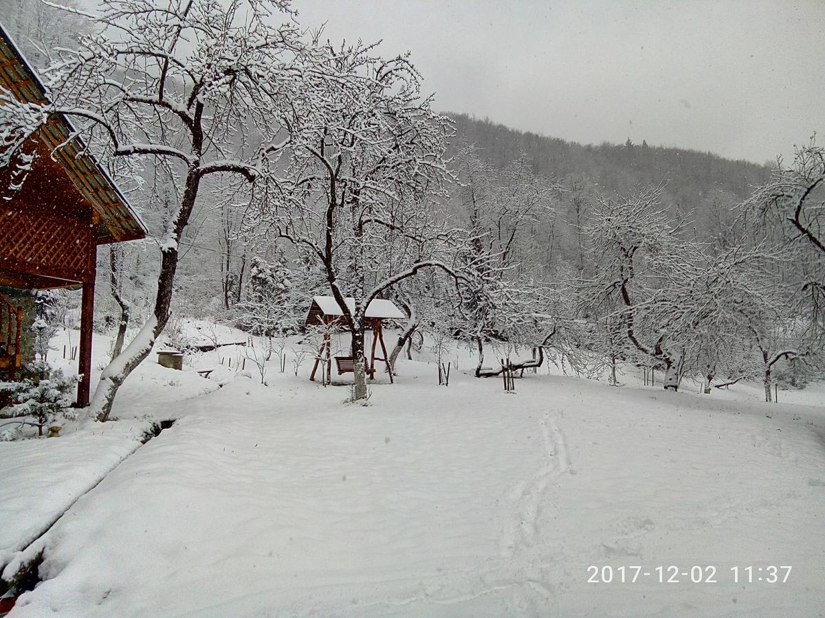 Під Горою Villa Sheshory Luaran gambar