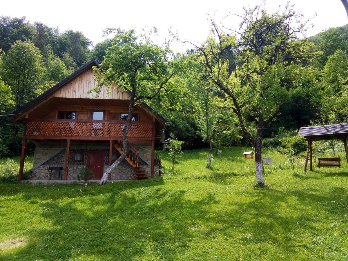 Під Горою Villa Sheshory Luaran gambar